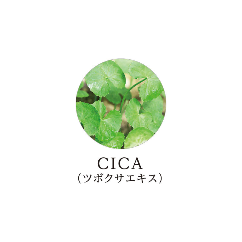 クッション ファンデーション(ネオカバー)レフィルNo.21明るい肌色 15g