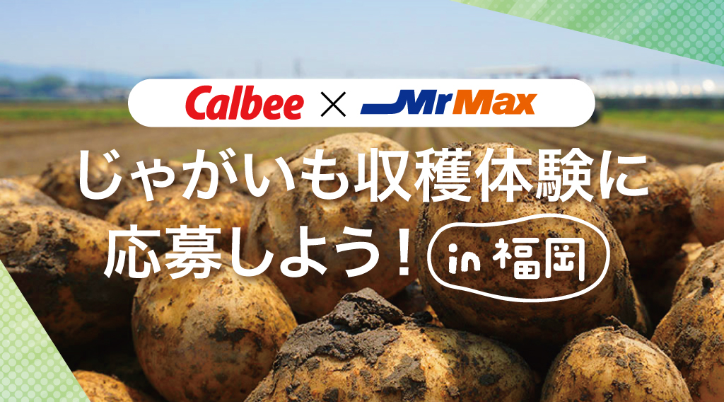 2604_メーカーキャンペーン_カルビー_バナー.jpg