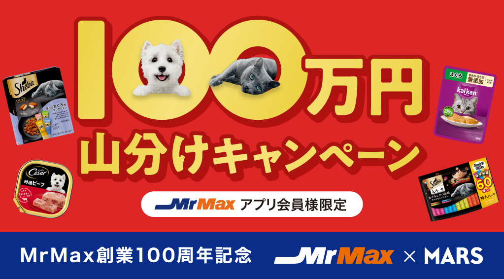 【MrMax×MARS】100万円山分けキャンペーン