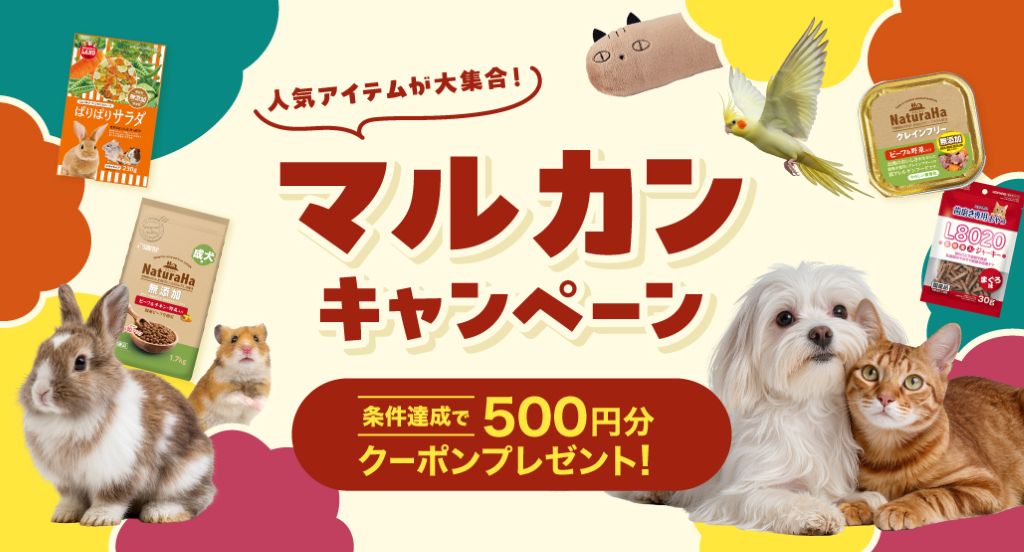261008-1111_マルカンキャンペーン特集サムネイル(343×185px)3x.jpg